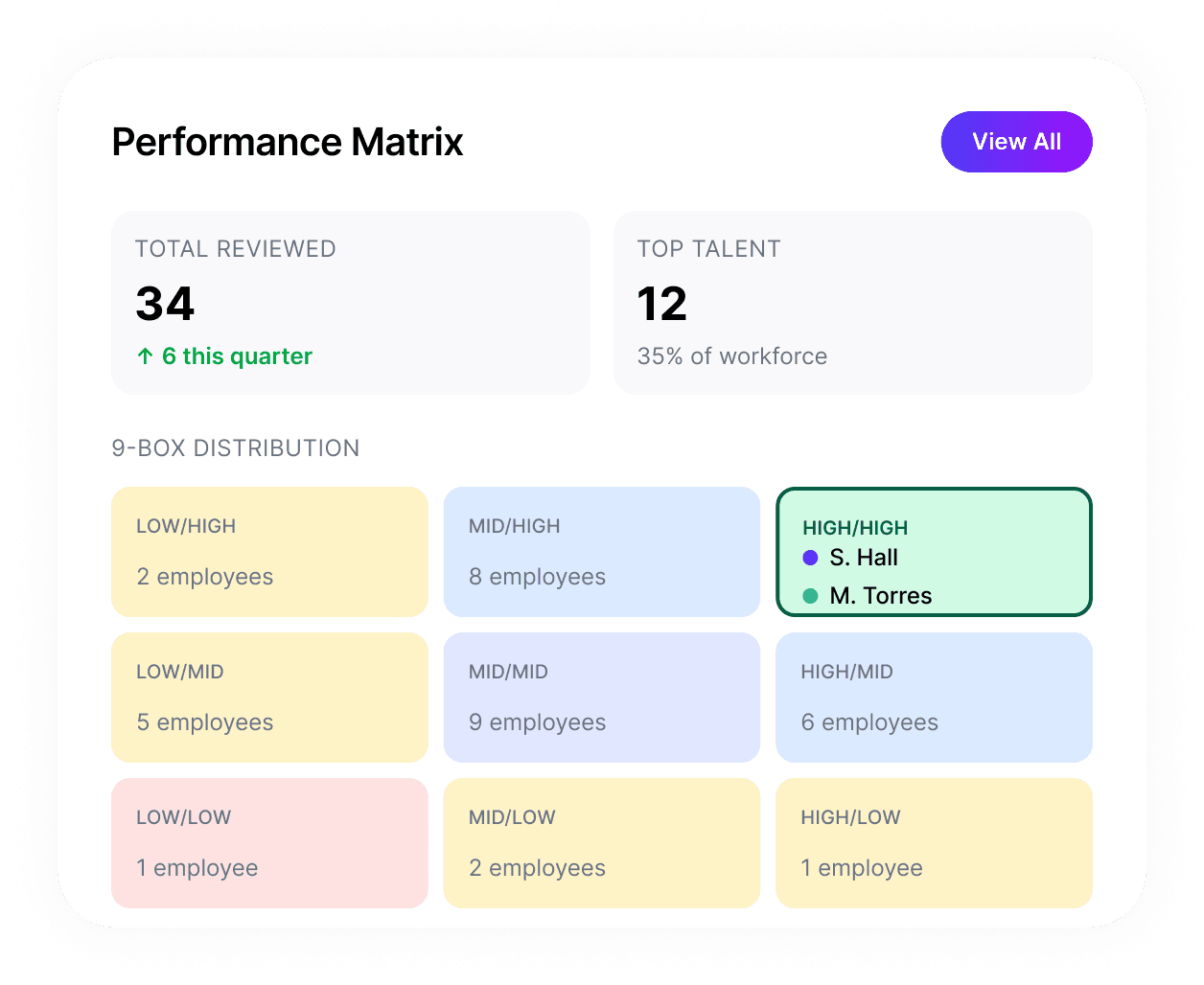Performance review matrix